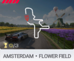 Amsterdam Flower Field
