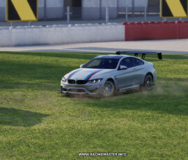 BMW M4 Coupe `17 Racing Master Gallery_5